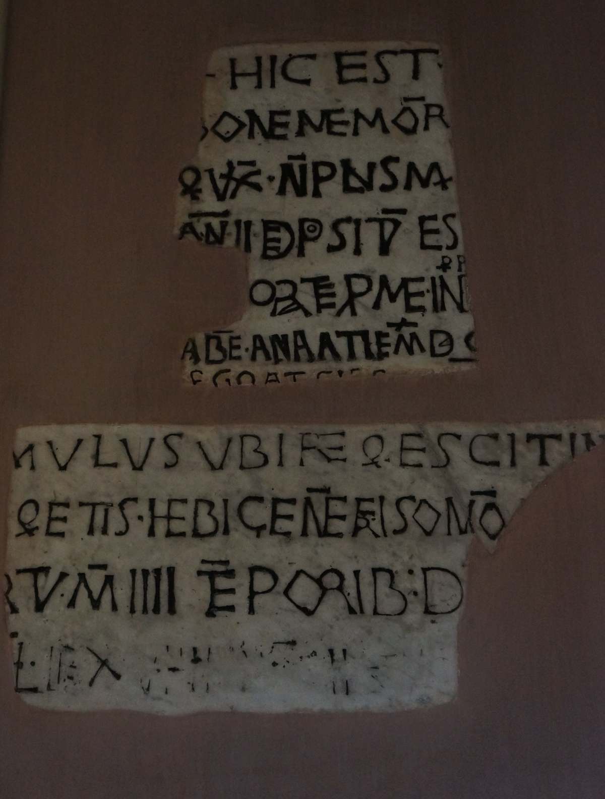 Abb. 410-MicheleeMagno_004.jpg